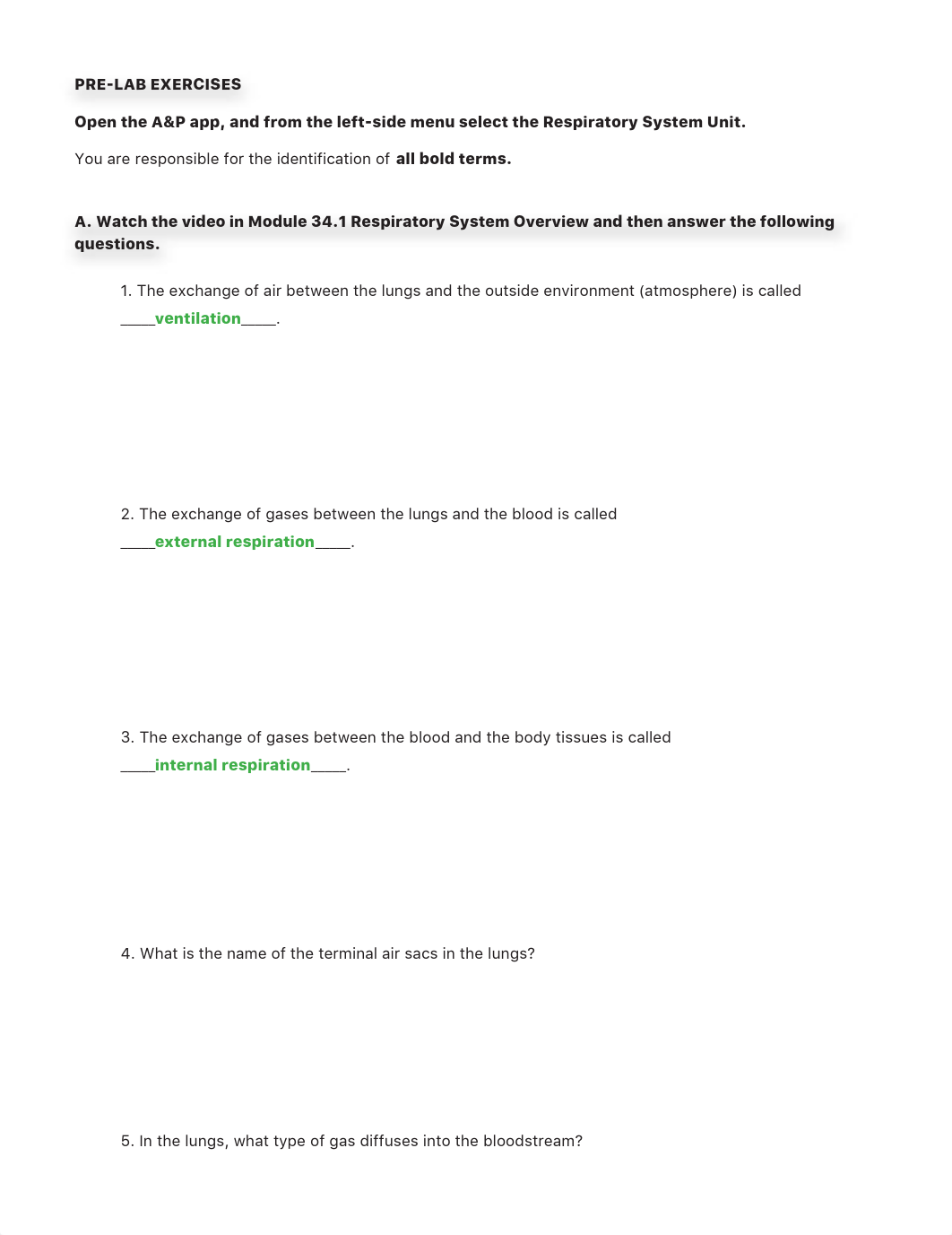 respiratory-ap-answer-key.pdf_d4dn52qh98i_page3