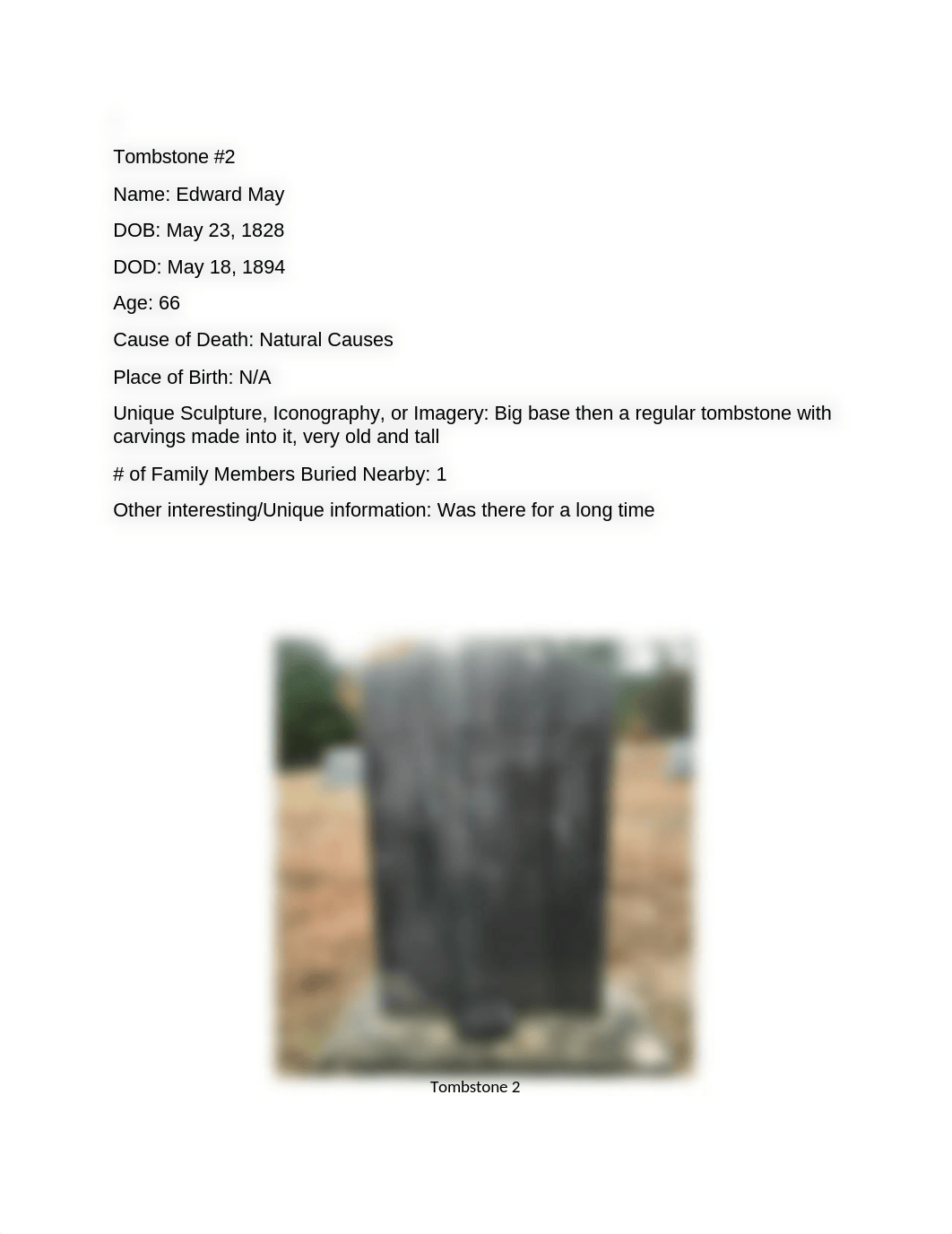 Cemetery Project Archaeology.docx_d4dp20wss7s_page2