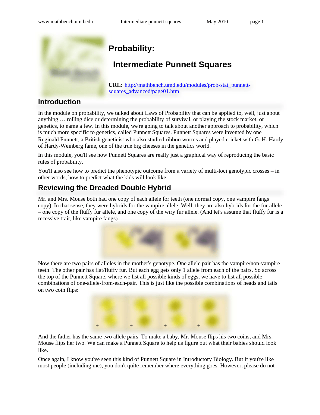 punnett-squares_advanced_STUDENTS.doc.docx_d4dpri6cuhs_page1