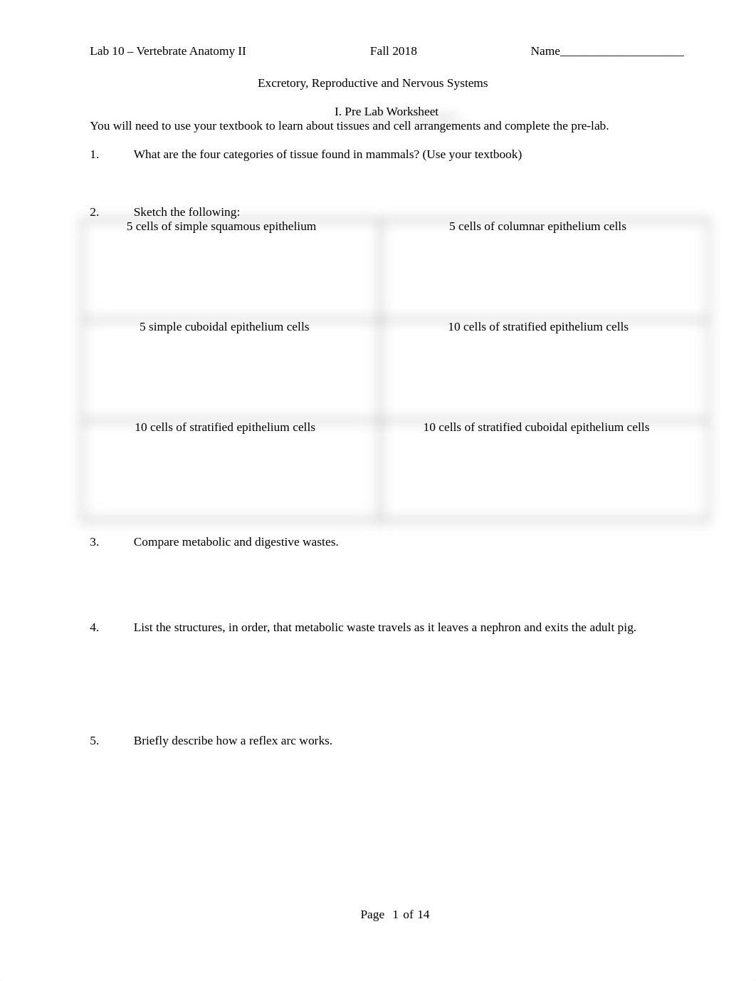 Lab+10+Vertebrate+Anatomy+II,+Bio61+F2018.docx_d4dqi50f2k9_page1