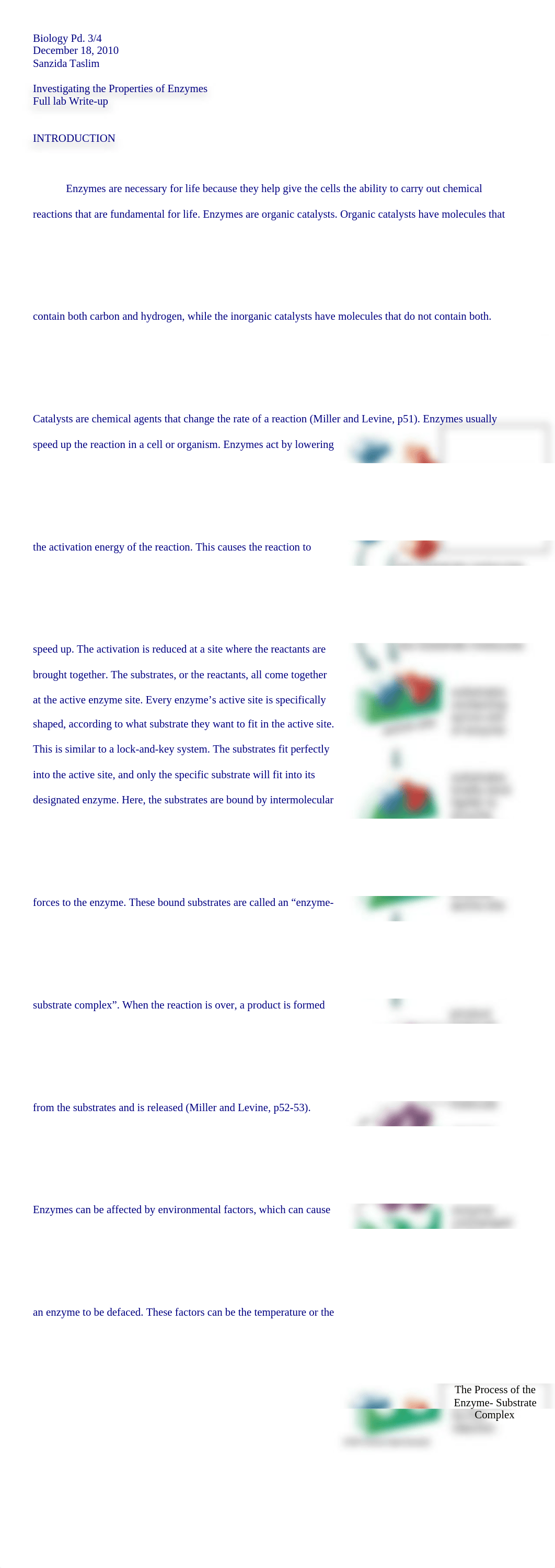 Enzyme Lab Write Up_d4drji81gl9_page1