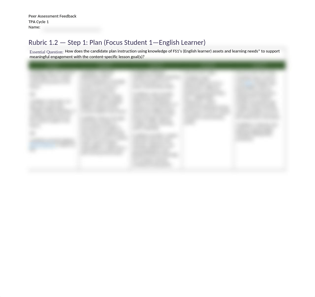 Peer Assess TPA Rubric.docx_d4dwg98nhpv_page2