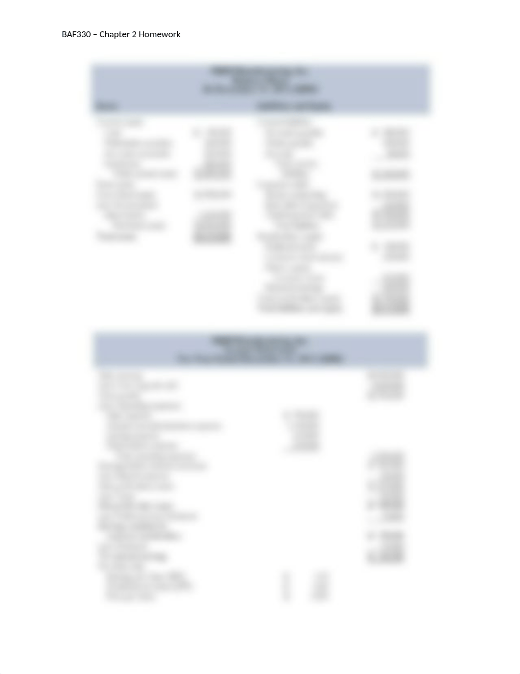 Financial Statement HW (2).docx_d4e4y3p2aqk_page1