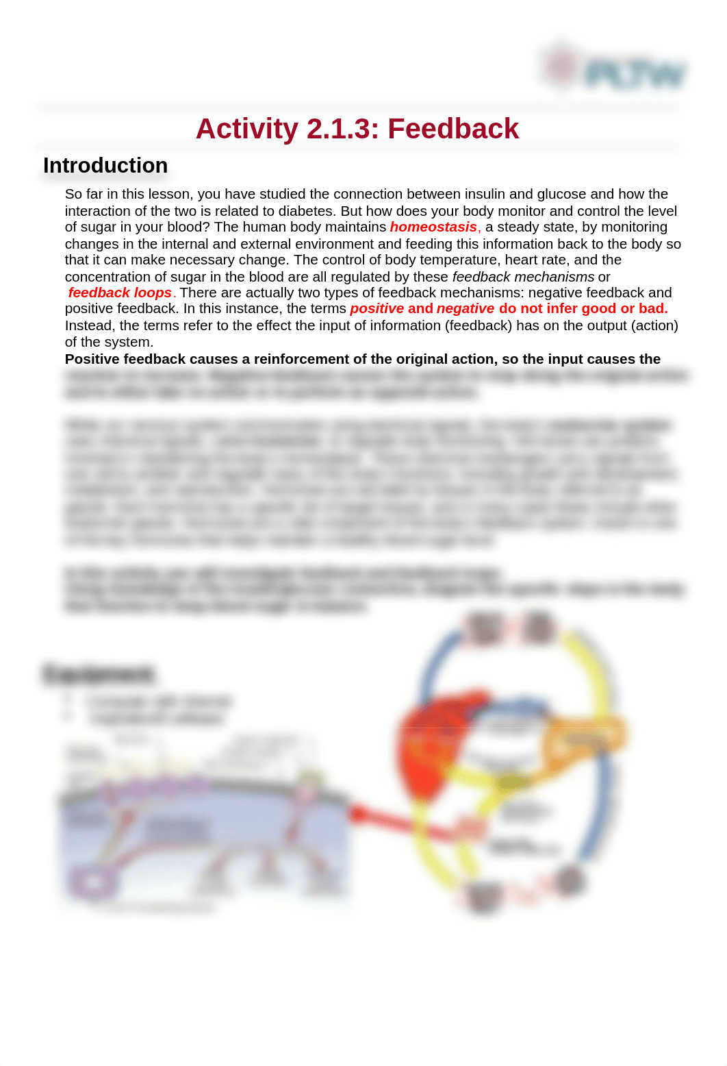 Activity 2.1.3. Glucose Insulin Feedback Loop.docx_d4ef1fvxsk4_page1