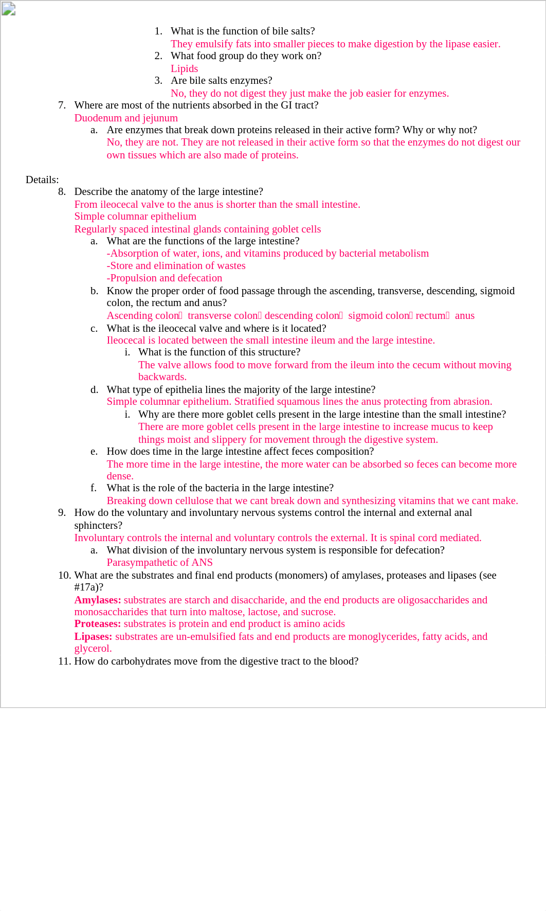 Chapter 22 Digestive System Study Questions Part II (1).docx_d4ejcglgdyp_page2