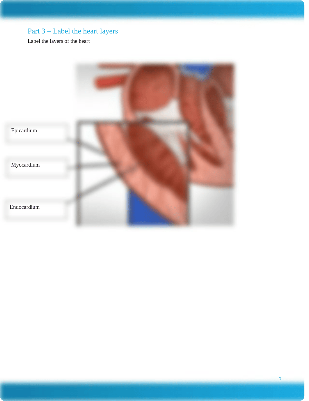 MED281 Assignment 1 Worksheet-1.docx_d4et3tcj237_page3