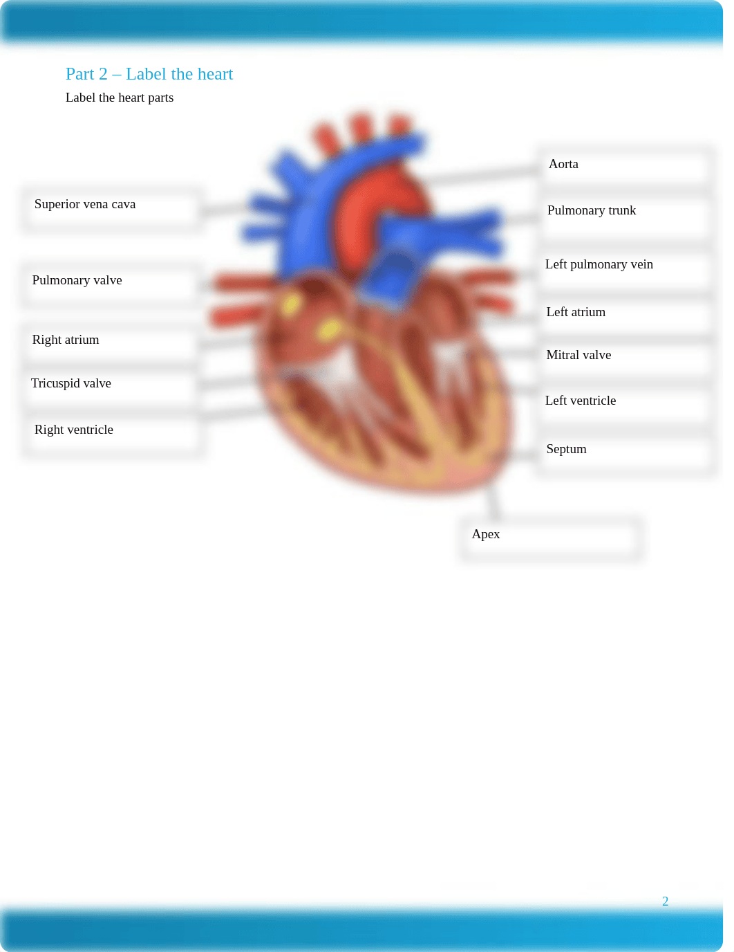 MED281 Assignment 1 Worksheet-1.docx_d4et3tcj237_page2