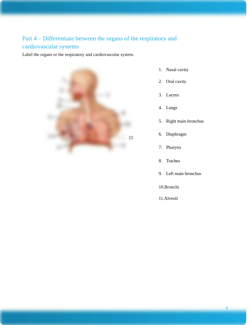 MED281 Assignment 1 Worksheet-1.docx_d4et3tcj237_page4