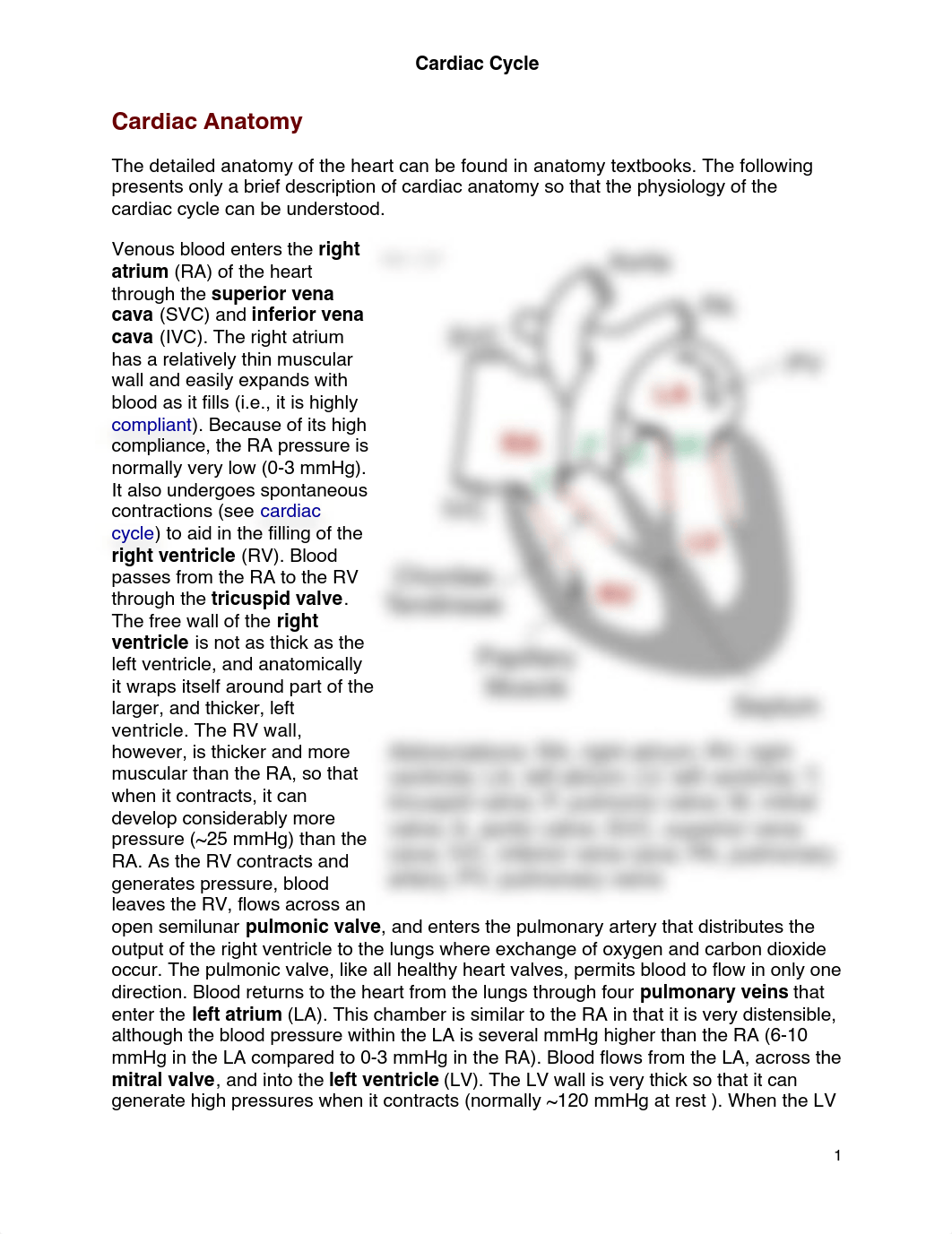 Cardiac Cycle_d4f0oi3iq8b_page1