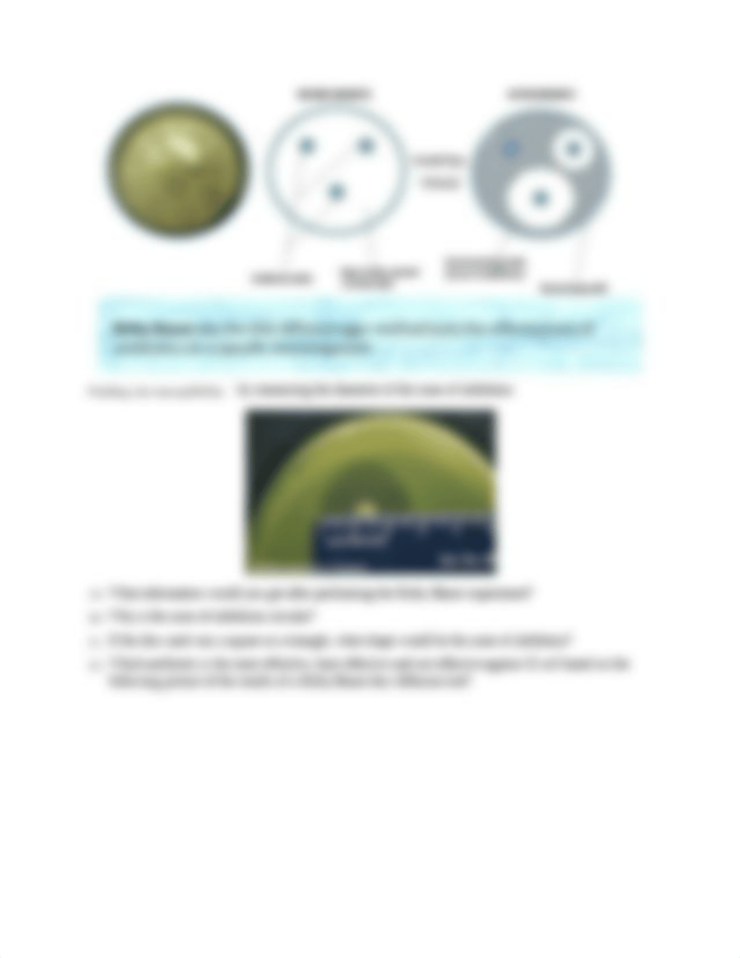 2420-Lab8-Control of Microbes-OS.docx_d4f98gqbr0k_page4