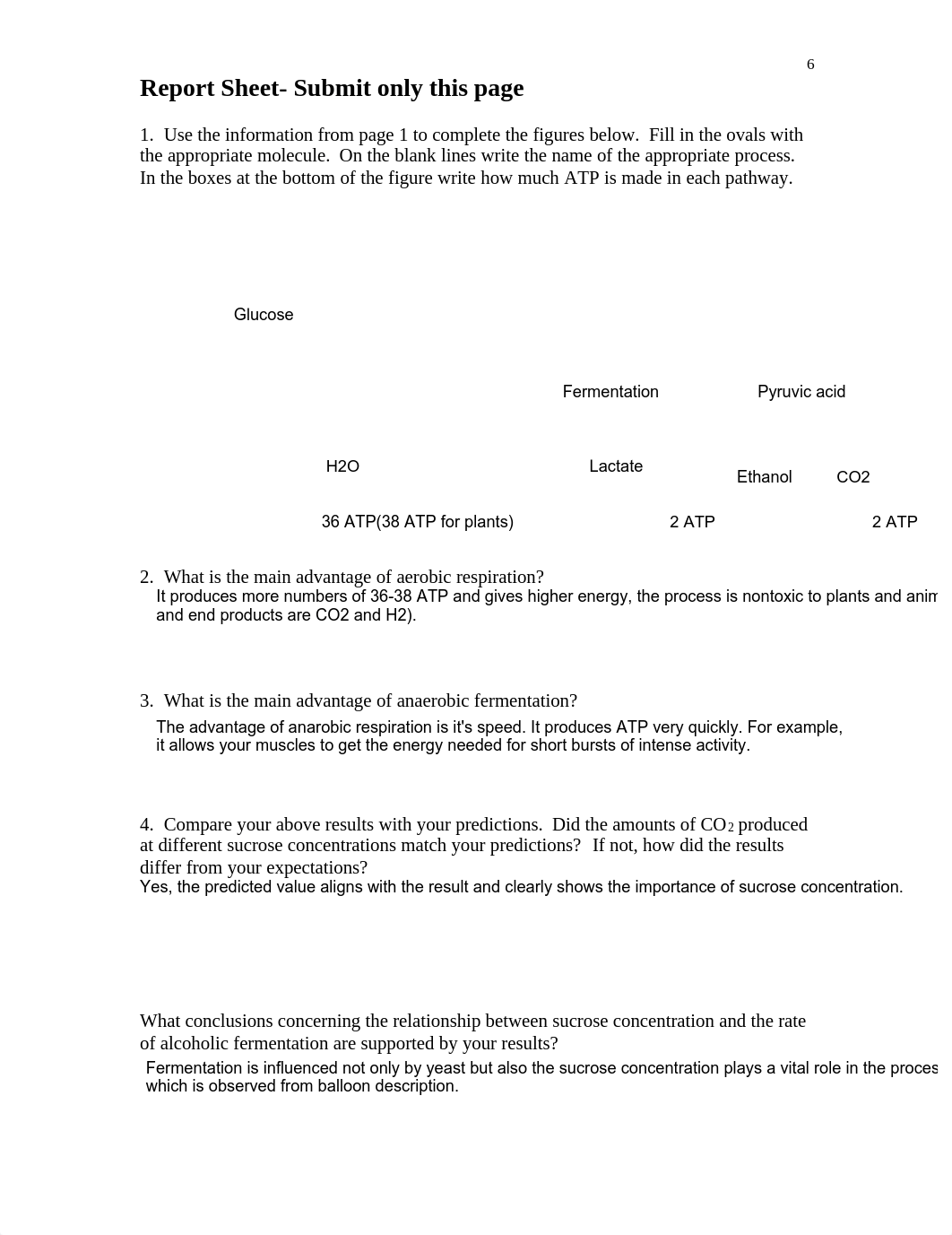 008 - Alcohol Fermentation (2).pdf_d4fat8fwmw2_page1