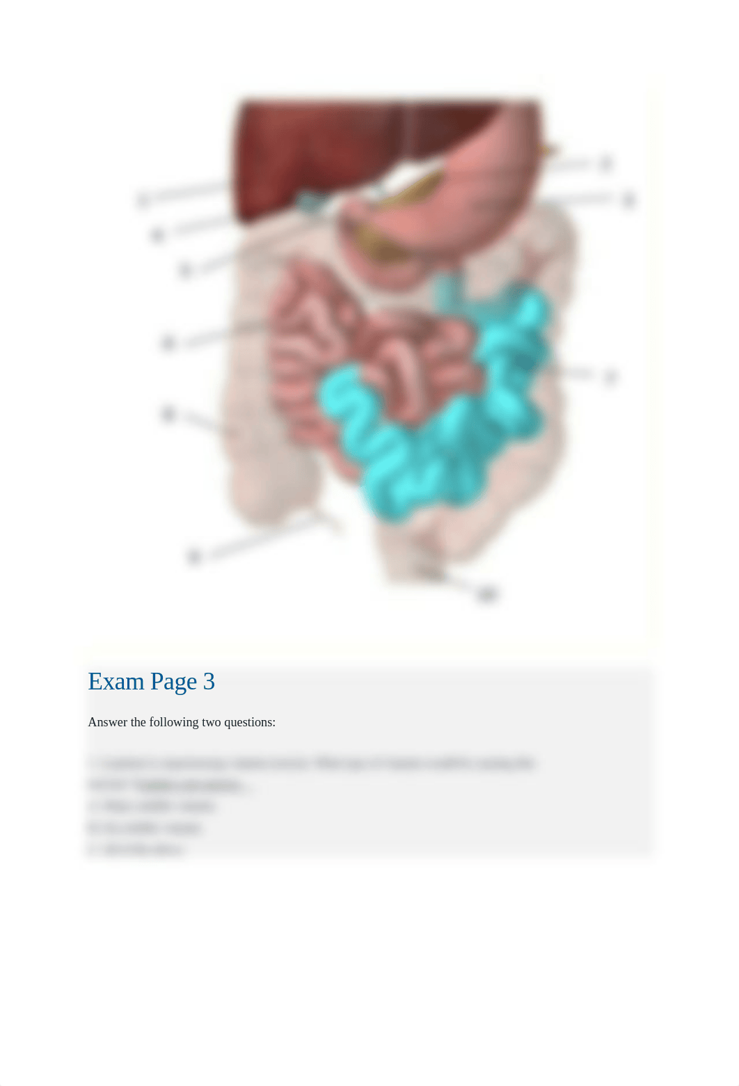 Exam 3 answer key.docx_d4fb8g70qok_page5
