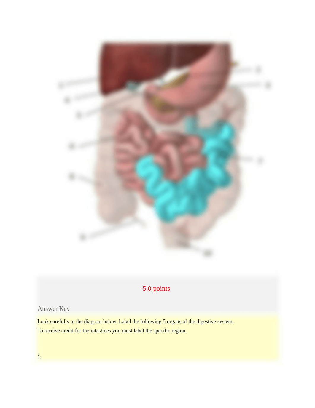 Exam 3 answer key.docx_d4fb8g70qok_page3