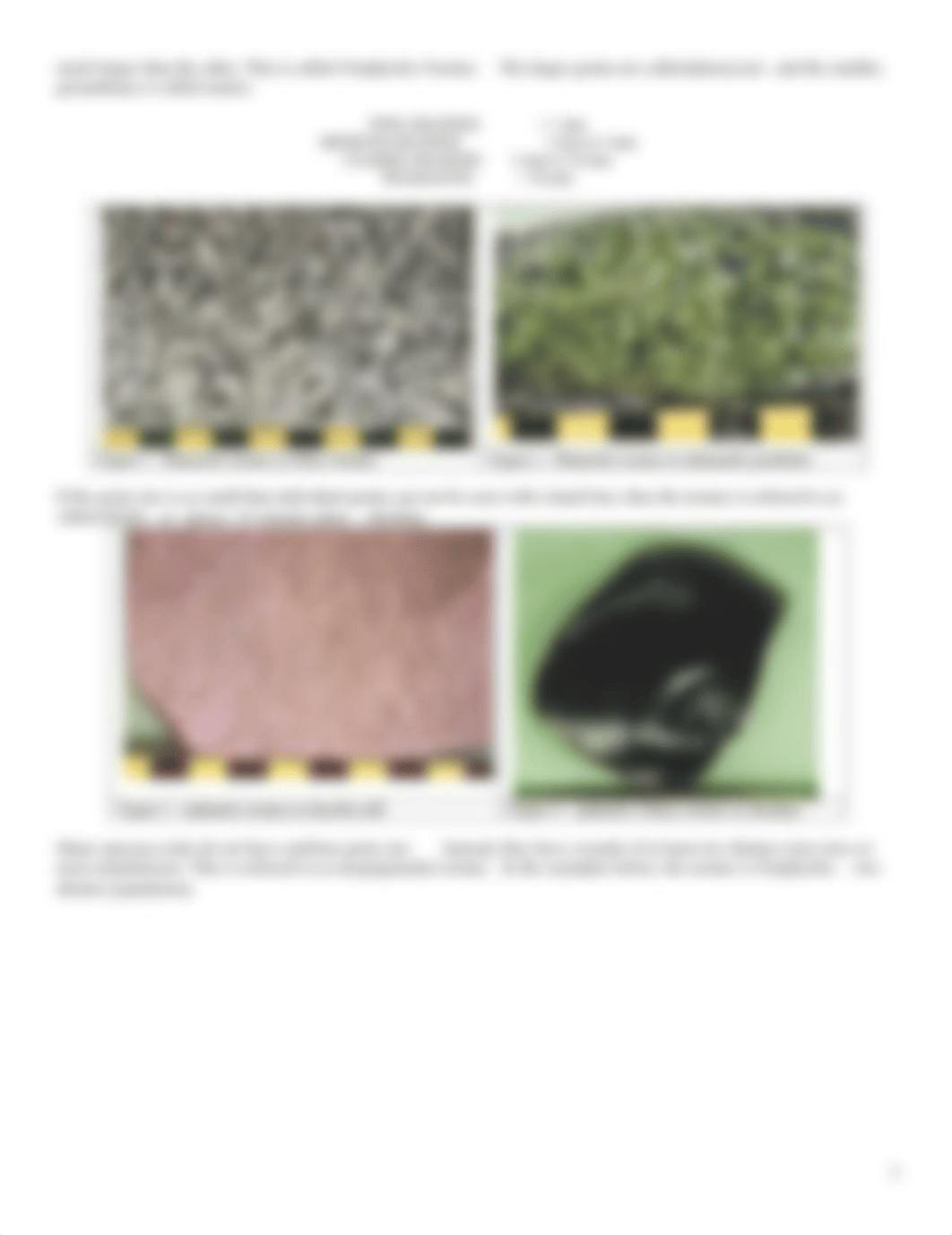 IGNEOUS ROCKS LAB.pdf_d4ffu9focrq_page2