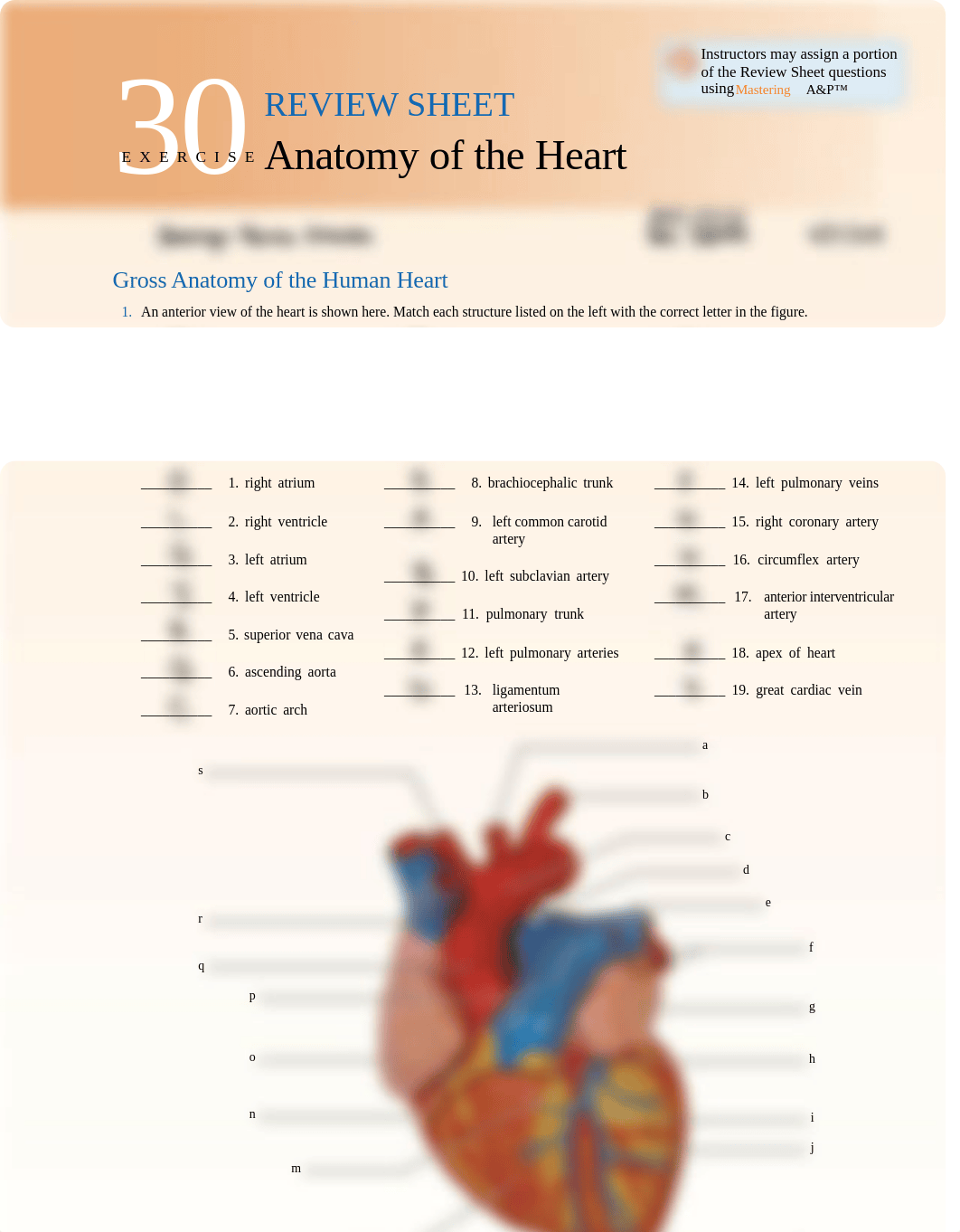 Exercise 30 Anatomy of Heart- Jeremyn Panta.pdf_d4frbxbnam9_page1