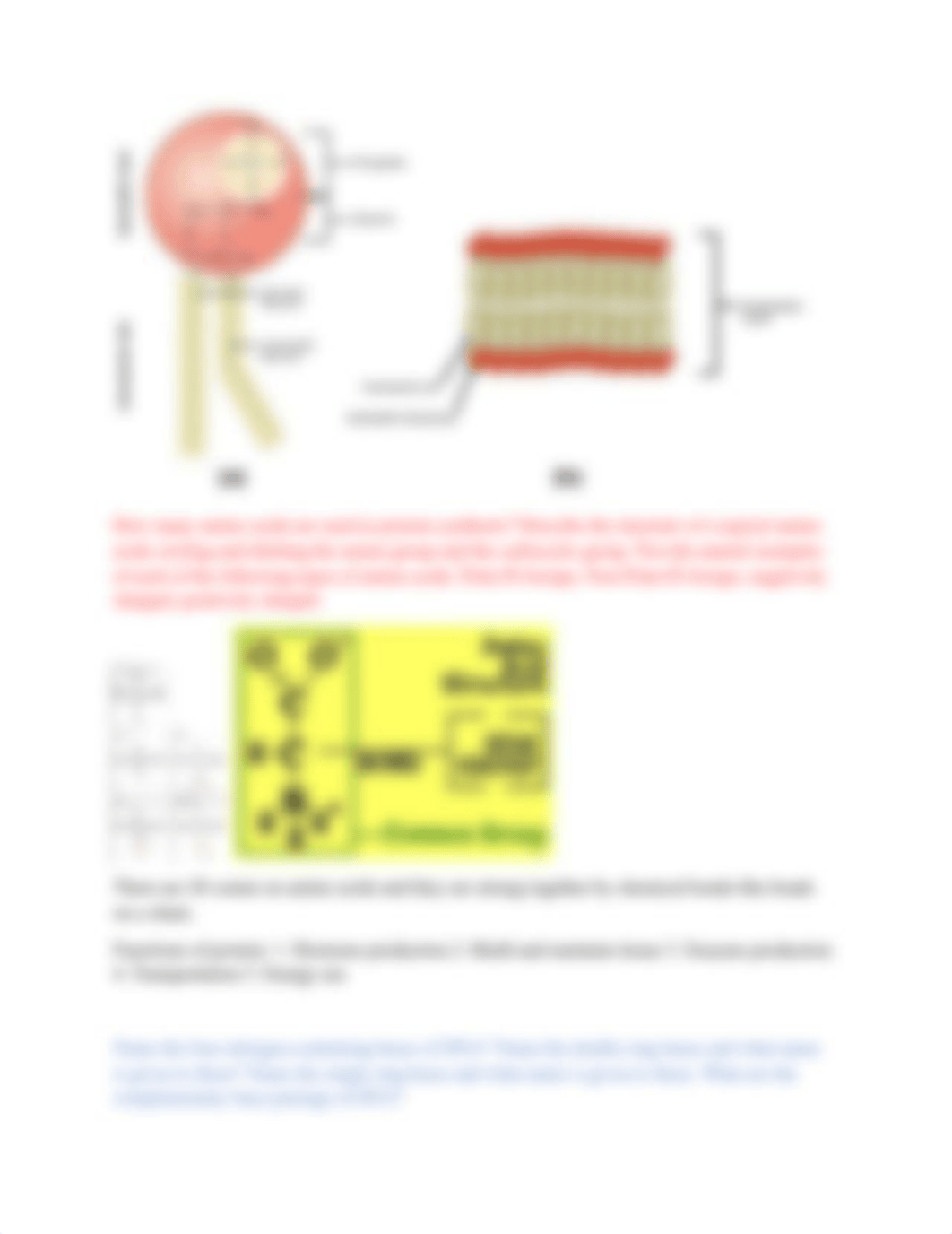 Midterm preparation.docx_d4fuajlygh9_page3