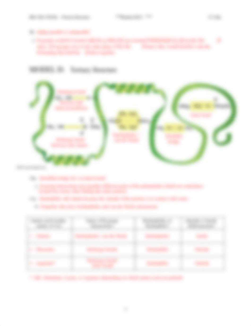 POGIL2_ProteinStructure_StudentKEY_d4fxxqgp2b6_page3