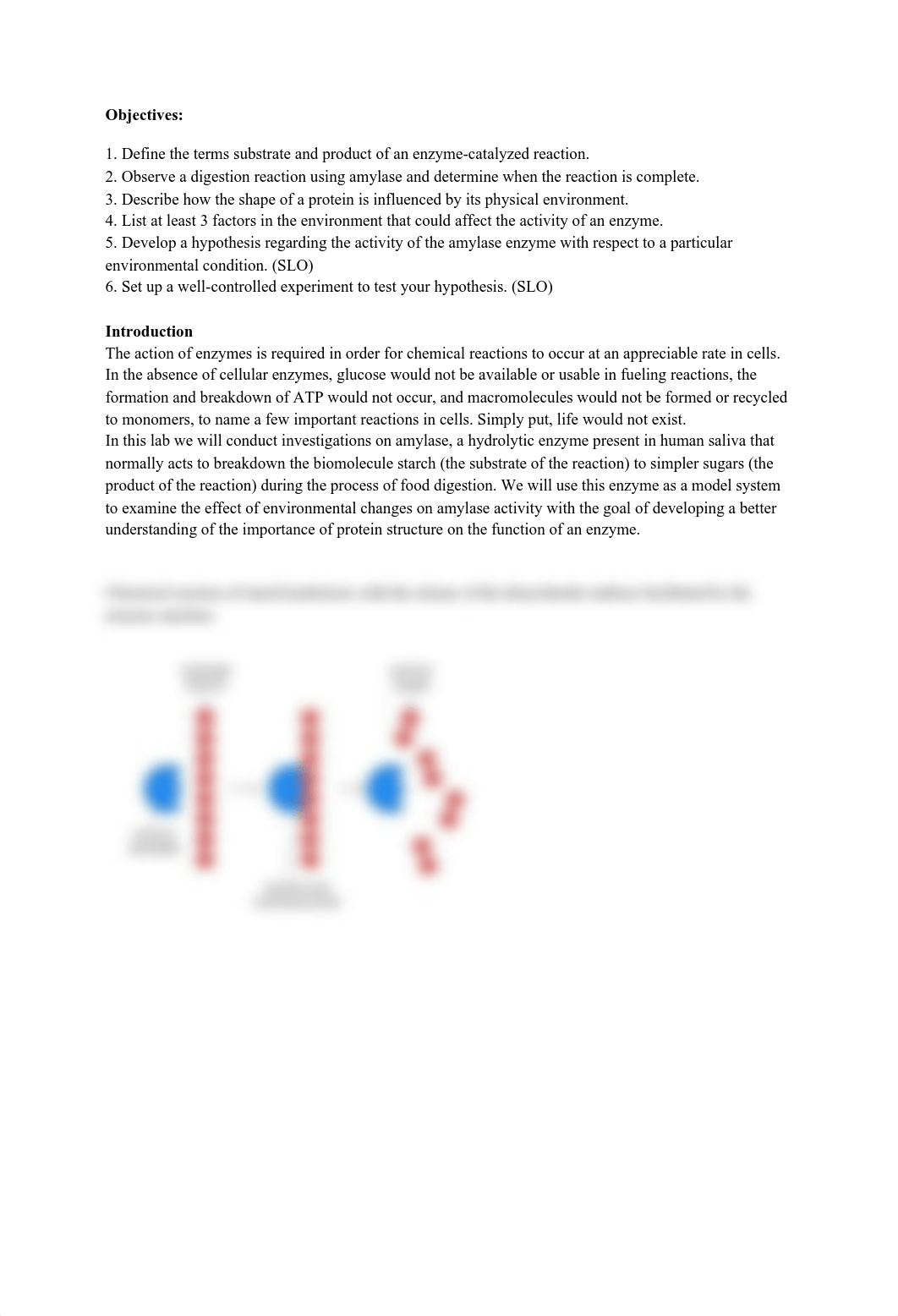 Enzyme Lab  (4).pdf_d4fzfp2a6ka_page2