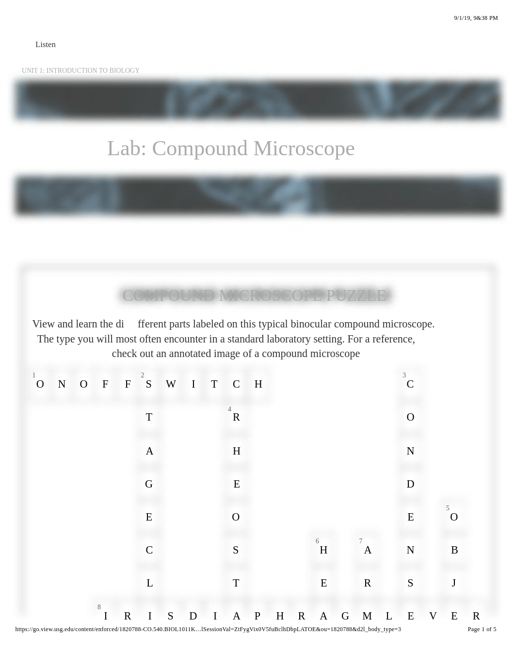 Microcope Puzzle.pdf_d4g7mufqx0v_page1