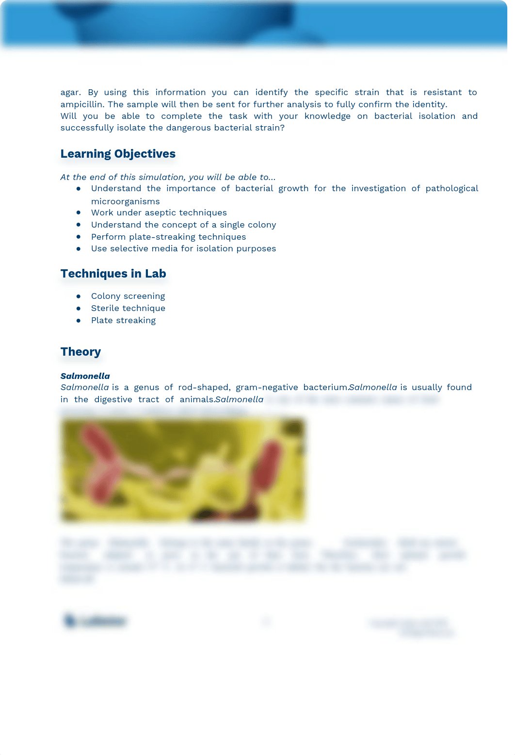 Bacterial Isolation Lab (1).pdf_d4g9foe8m2j_page2