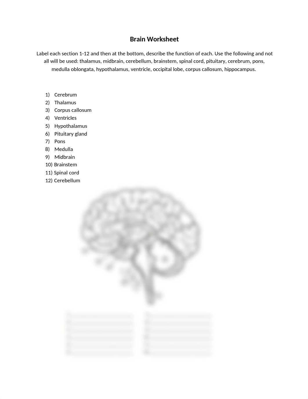 BIO 202 - Brain Worksheet - Week 6 use .docx_d4gbv60akrd_page1