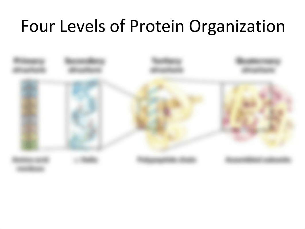 Ch 5p Protein purification.pdf_d4gjf2wll7a_page2