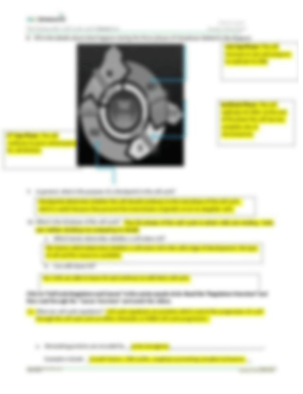 Cell Cycle Overview.docx_d4gkxrcq87g_page2