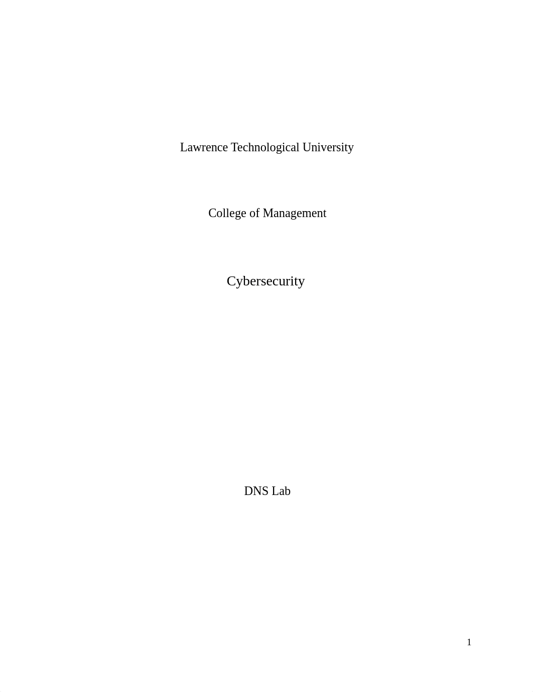 Local DNS lab 04-02-2018.docx_d4goi6spll2_page1