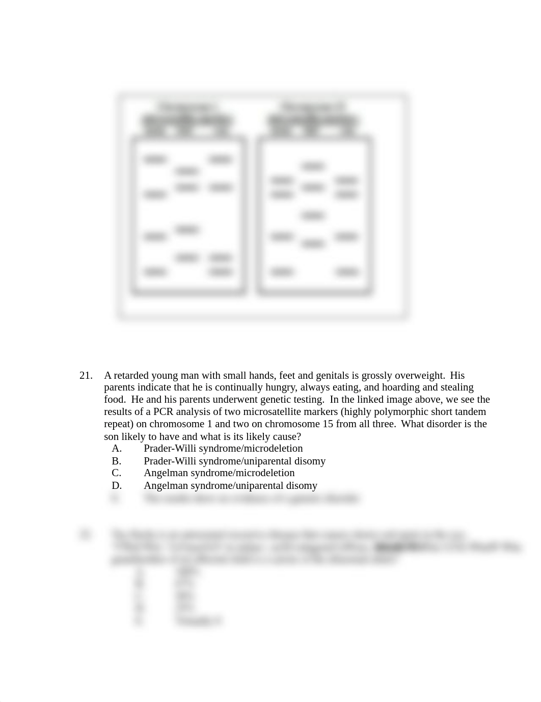 SampleQuestions (dragged) 6.pdf_d4h3w4ejf0m_page1