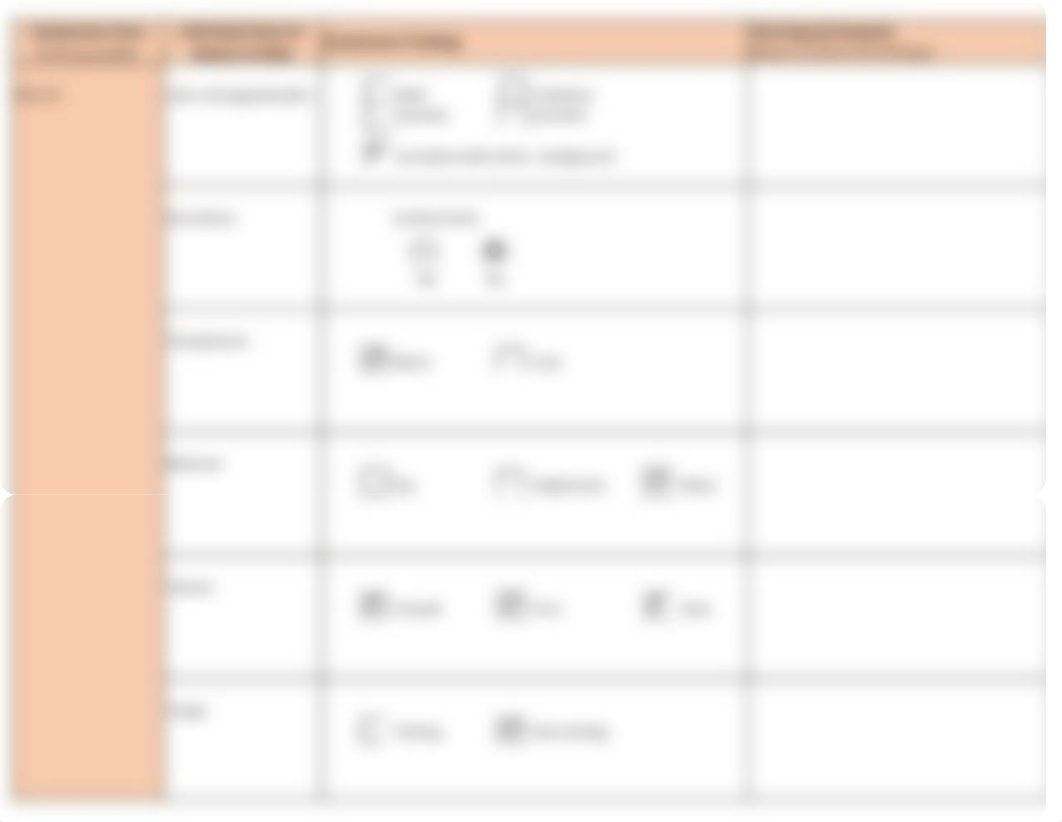 _C349 Physical Assess.Form.pdf_d4h60gyk0jk_page4