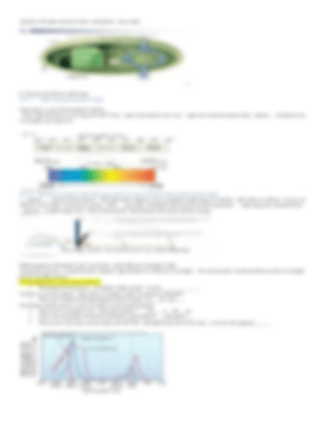 gREVISED uide  8 Brooker 5th photosynthesis spring 20.docx_d4h9yrdfnws_page2