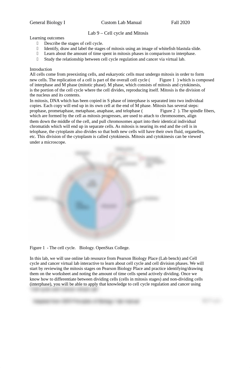 BIOL 101 Custom lab 9 VIRTUAL_Cell cycle and mitosis lab.docx_d4hbnmux3hz_page1