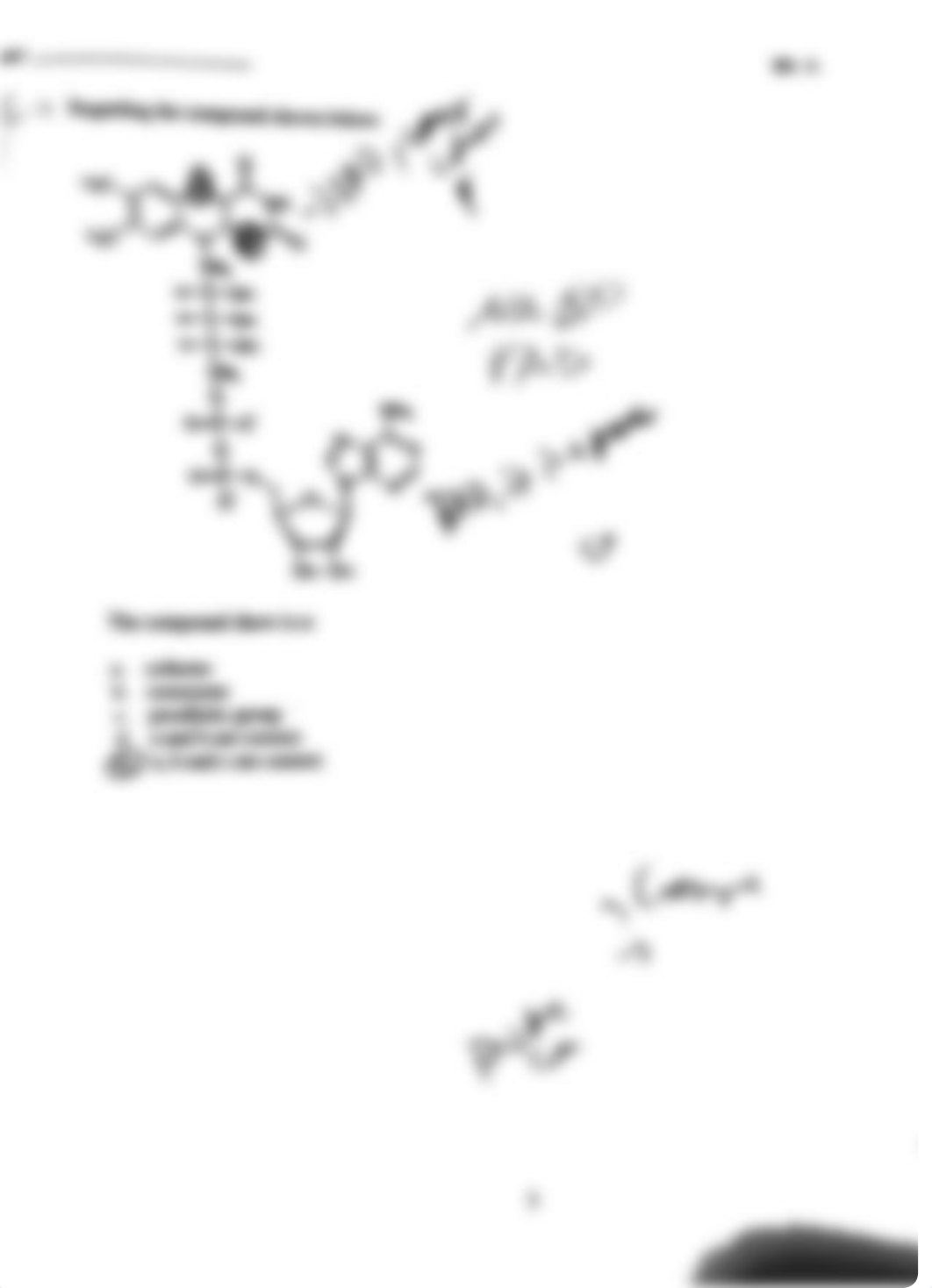 Biochem check 13+11.pdf_d4hsc7l3eau_page2