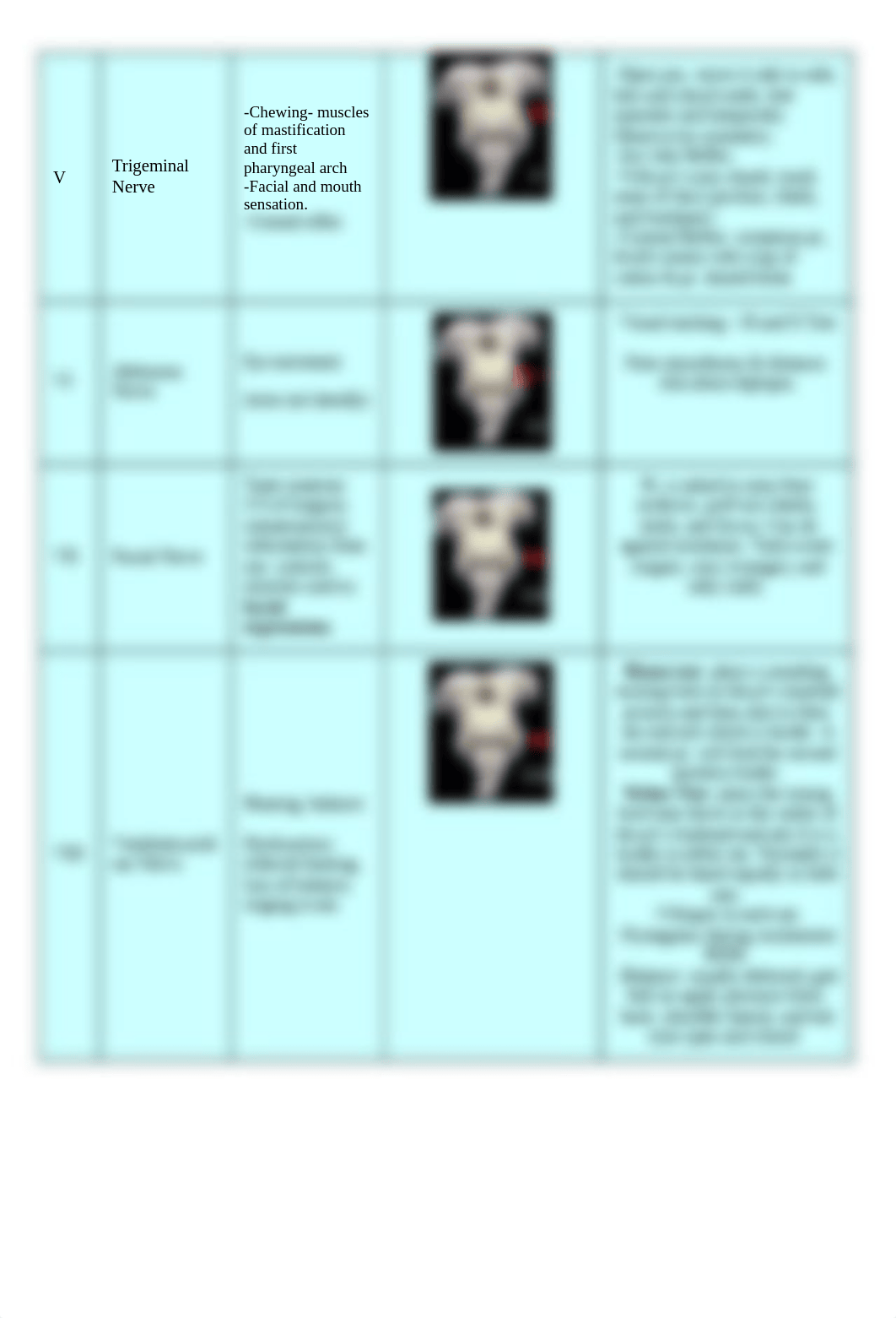 Cranial Nerves - Study.docx_d4htdssvxvi_page2