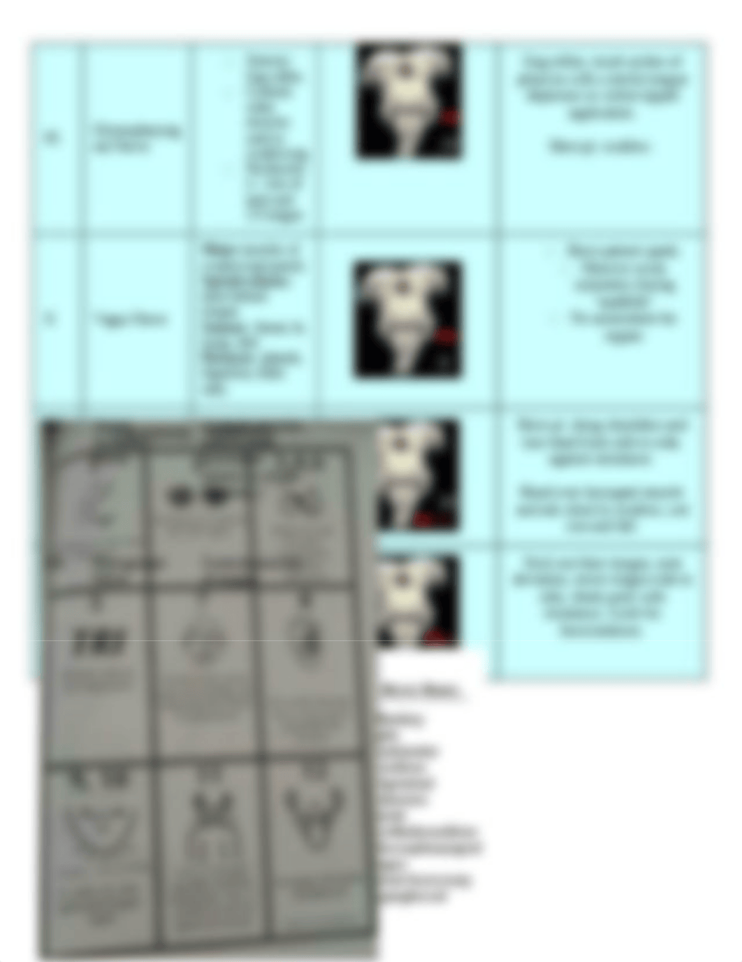 Cranial Nerves - Study.docx_d4htdssvxvi_page3