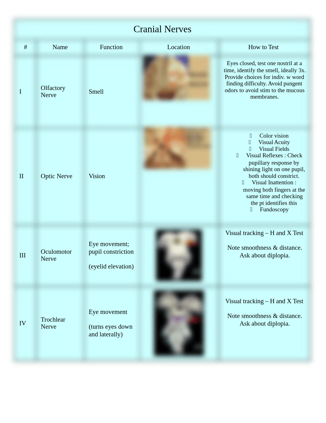 Cranial Nerves - Study.docx_d4htdssvxvi_page1