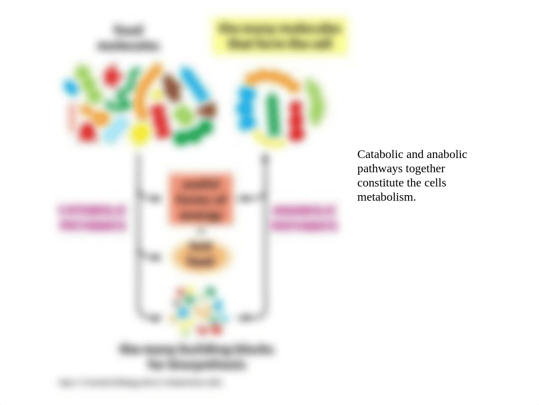 Chapter 3.ppt_d4hwd79r0e6_page4