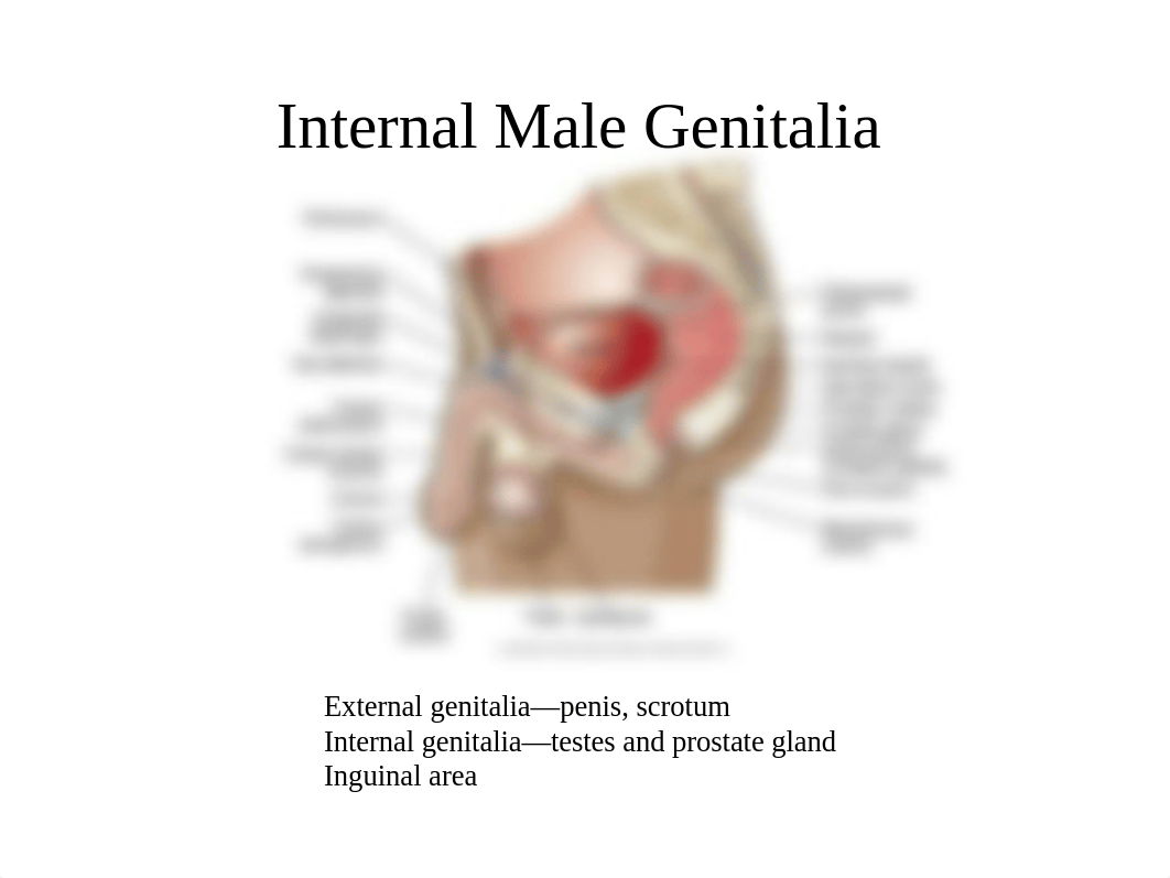 Class 6 Prenatal  Postpartum Psychosoc Mental Health UPDATED.pptx_d4i1r4l247t_page3