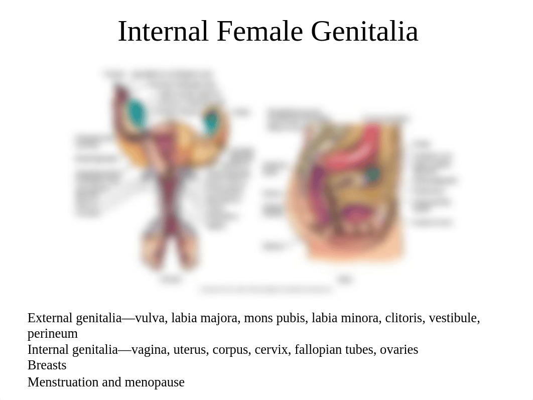 Class 6 Prenatal  Postpartum Psychosoc Mental Health UPDATED.pptx_d4i1r4l247t_page2