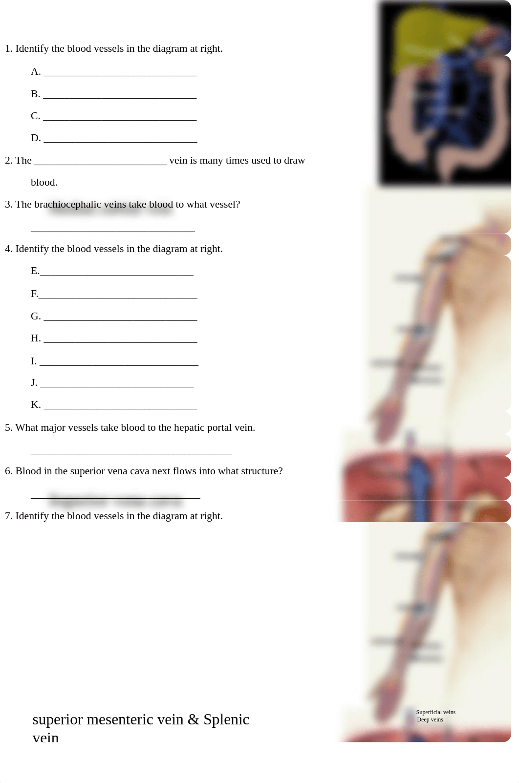 2112 Veins Review.pdf_d4i6xp5af9p_page1