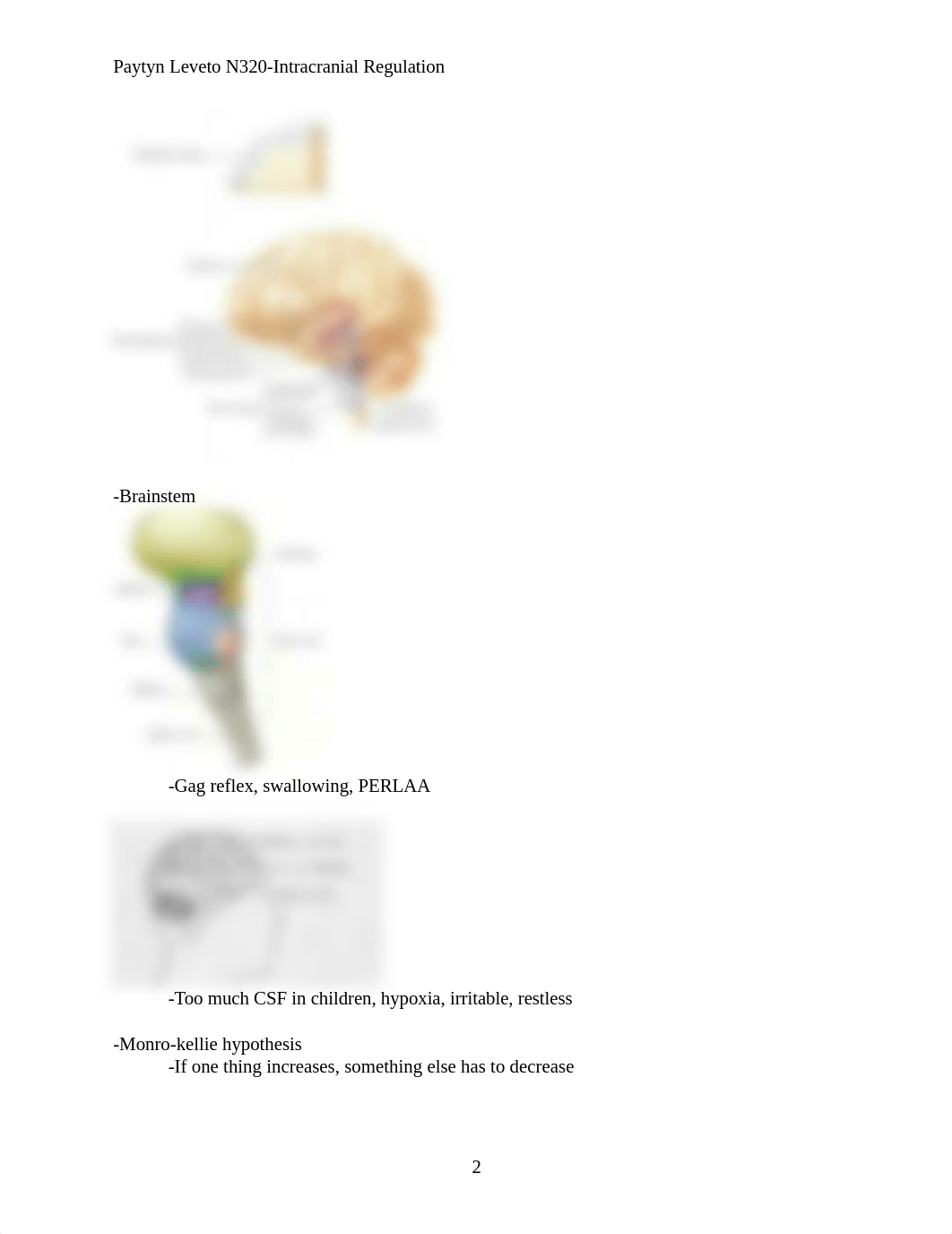 N320-Intracranial Regulation.docx_d4i9vi1zdtu_page2