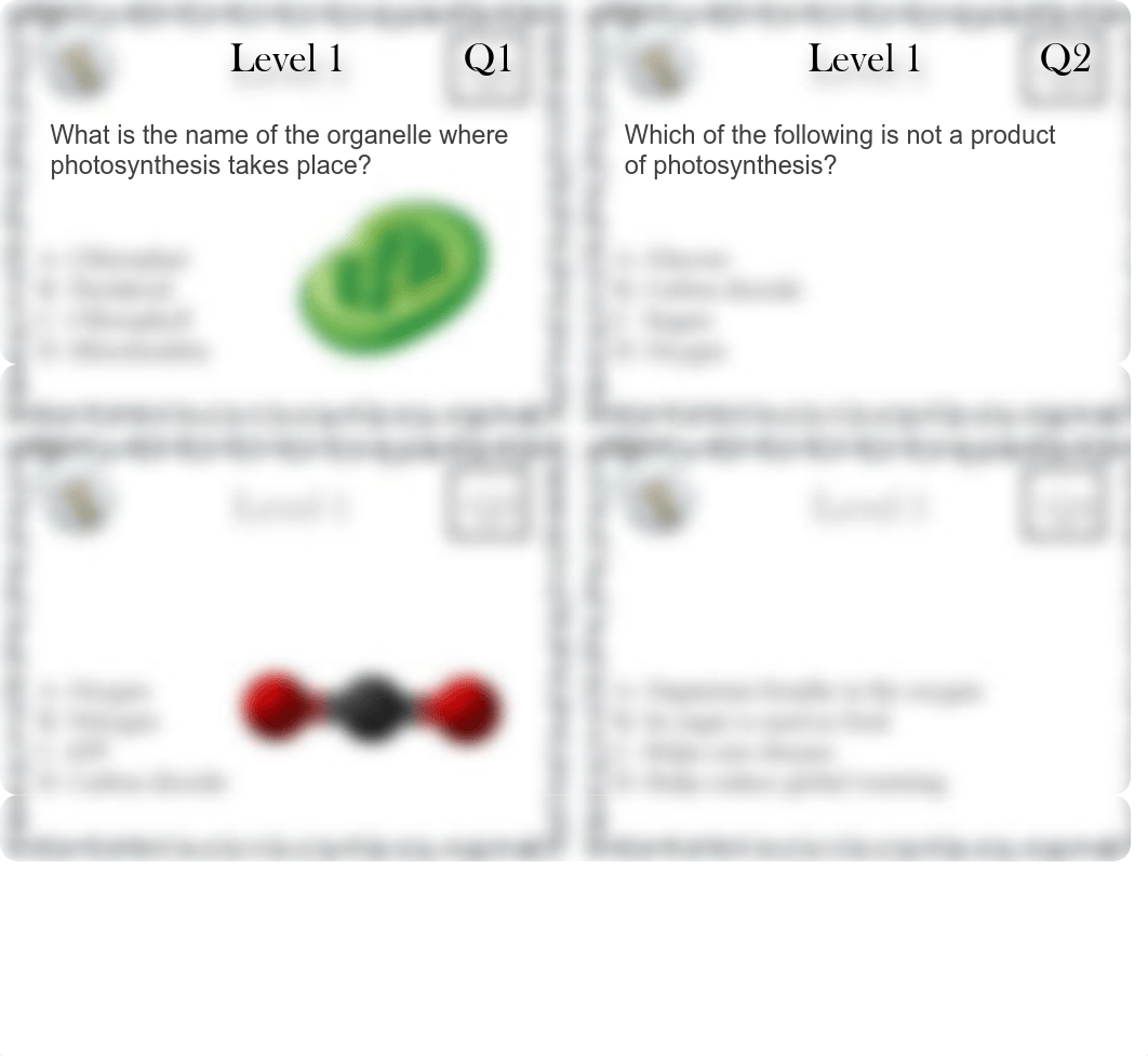 Allison Miller - Student Photosynthesis Activity.pdf_d4iddty8xy4_page3