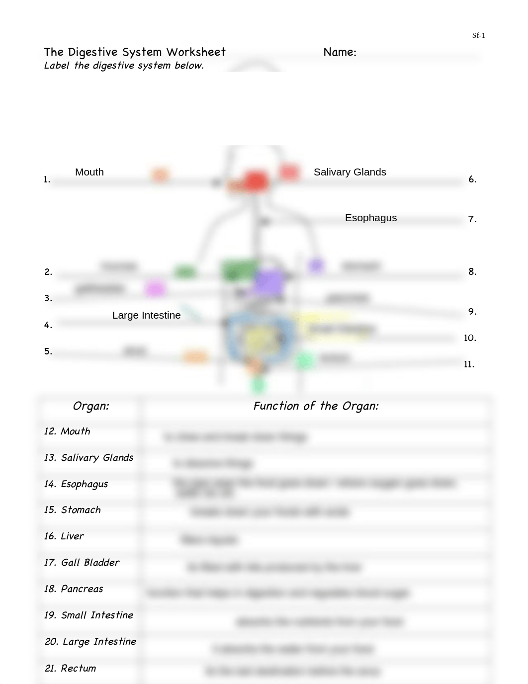 Trey Levesque - Digestive system worksheets (6) (2).pdf_d4ilsv77cto_page2