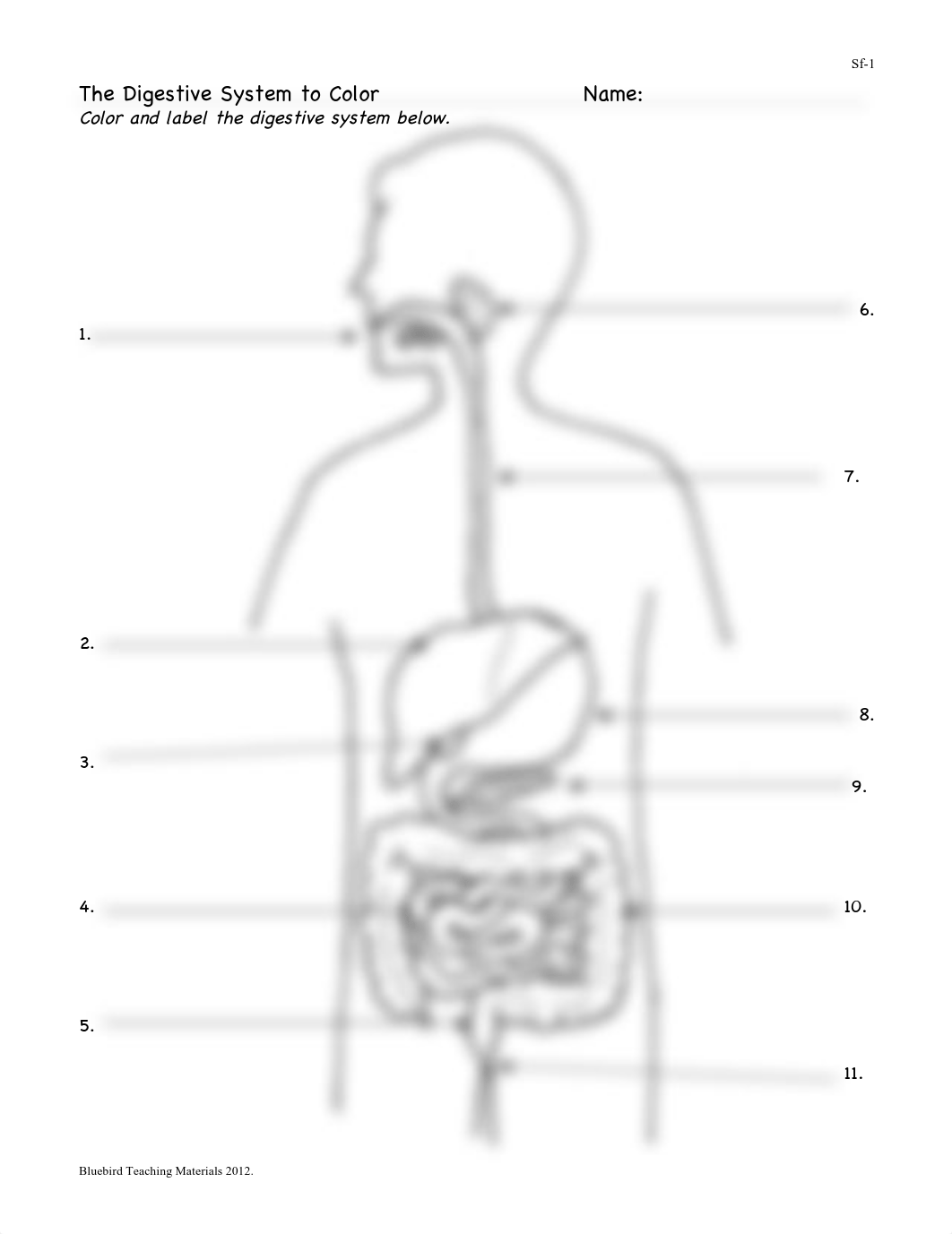 Trey Levesque - Digestive system worksheets (6) (2).pdf_d4ilsv77cto_page1