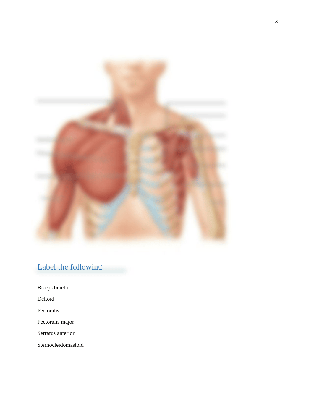 Muscle test April 2018.docx_d4ip5nx13n1_page3