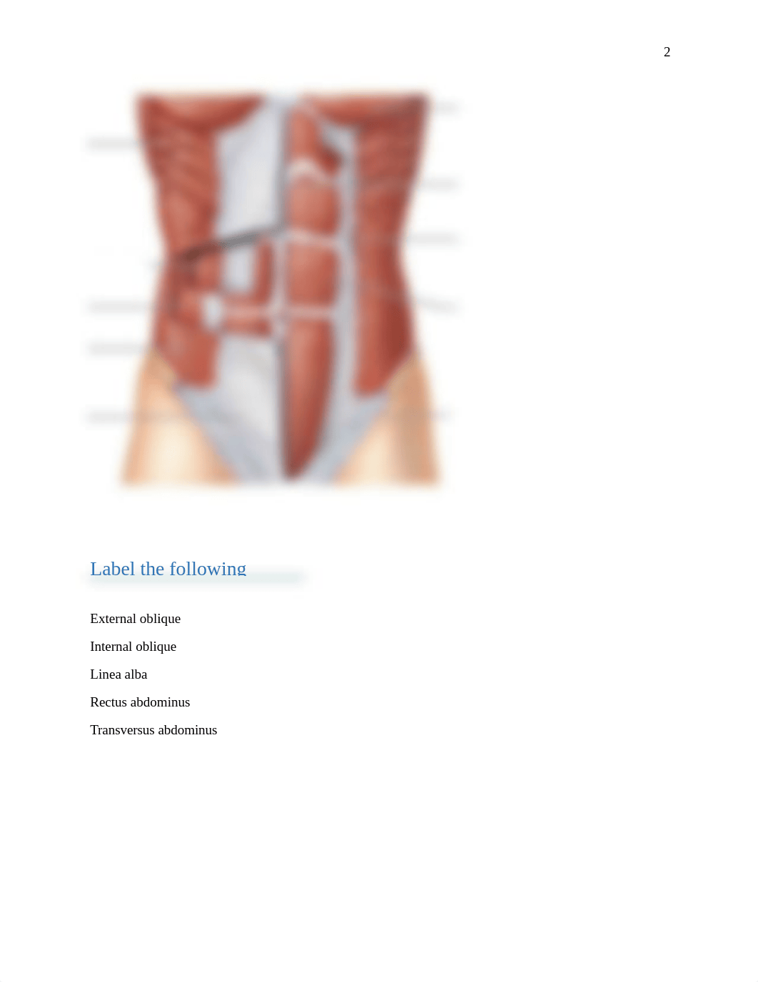 Muscle test April 2018.docx_d4ip5nx13n1_page2