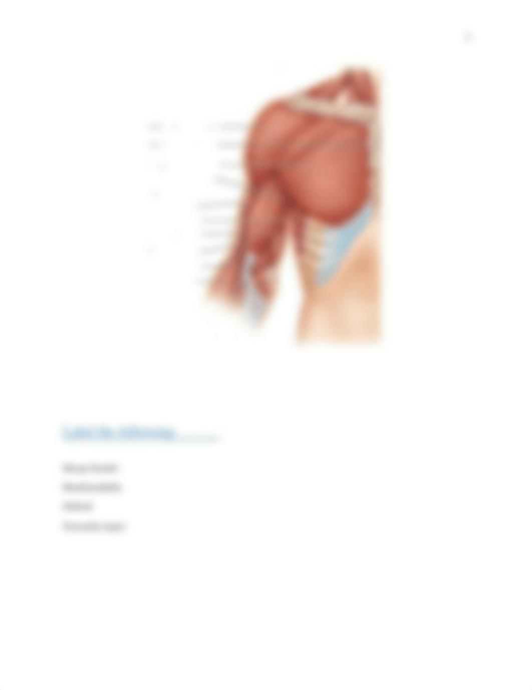 Muscle test April 2018.docx_d4ip5nx13n1_page5