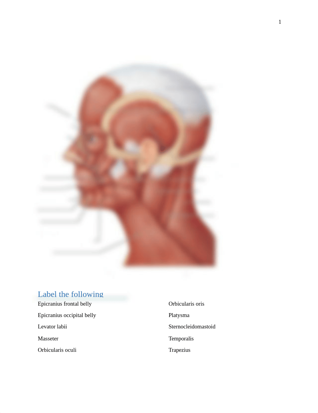 Muscle test April 2018.docx_d4ip5nx13n1_page1