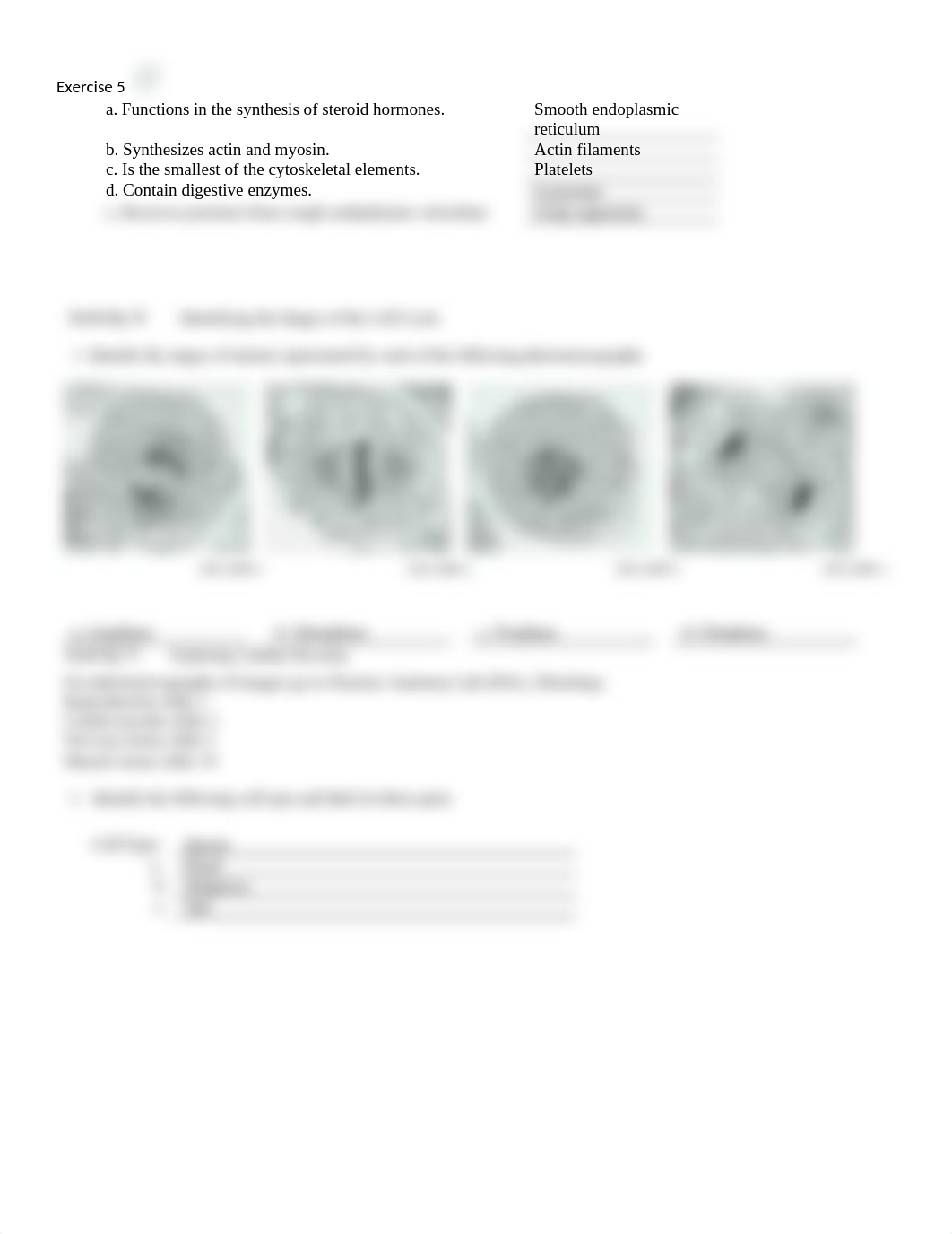 Unit 2 laboratory exercise 5_d4iqu77iudg_page2