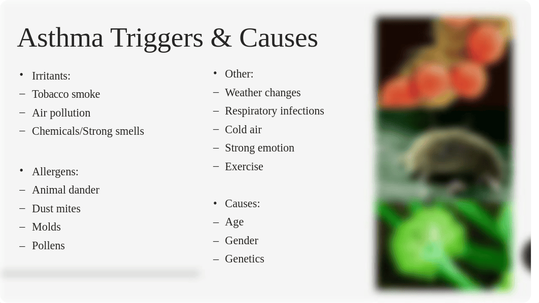 Asthma Presentation-5.pptx_d4j2n05115e_page5